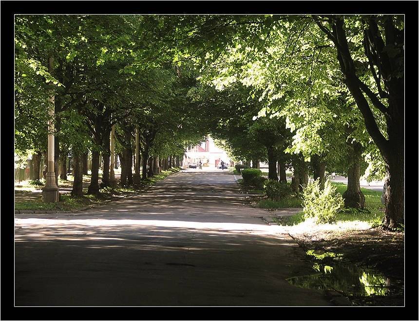 Silent park