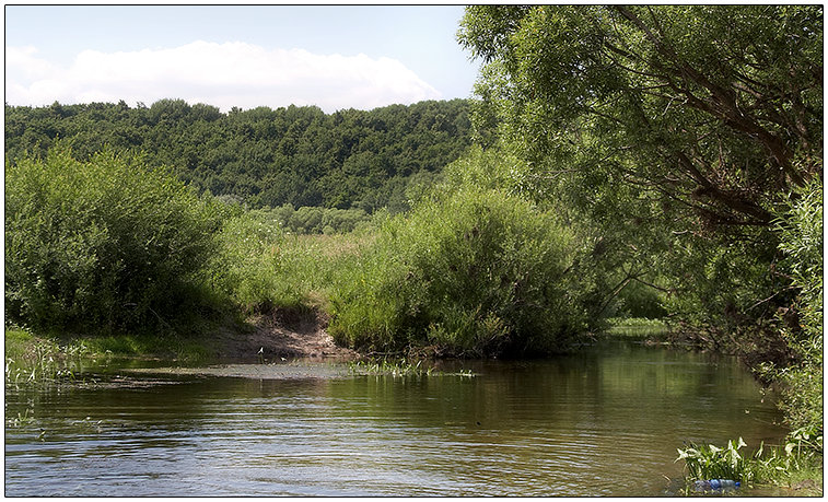 Silent creek