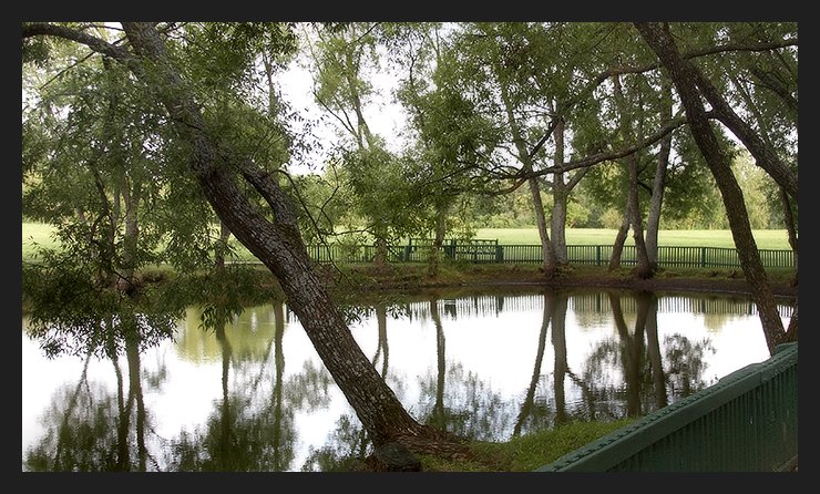 Silent pond